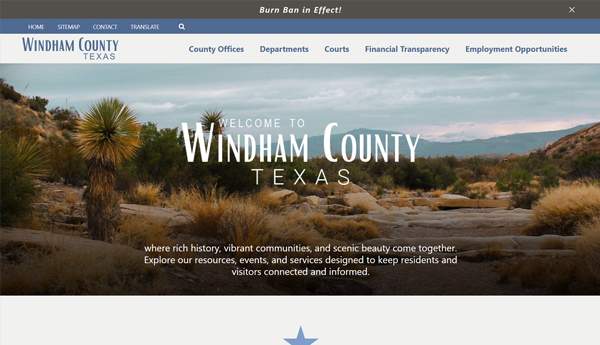 Graphic of a sample website template named Lone Star.