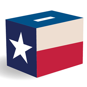 County Elections Academy