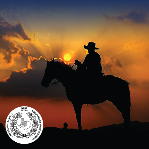 West Texas County Judges and Commissioners Association logo