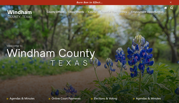 Graphic of a sample website template named Bluebonnet.
