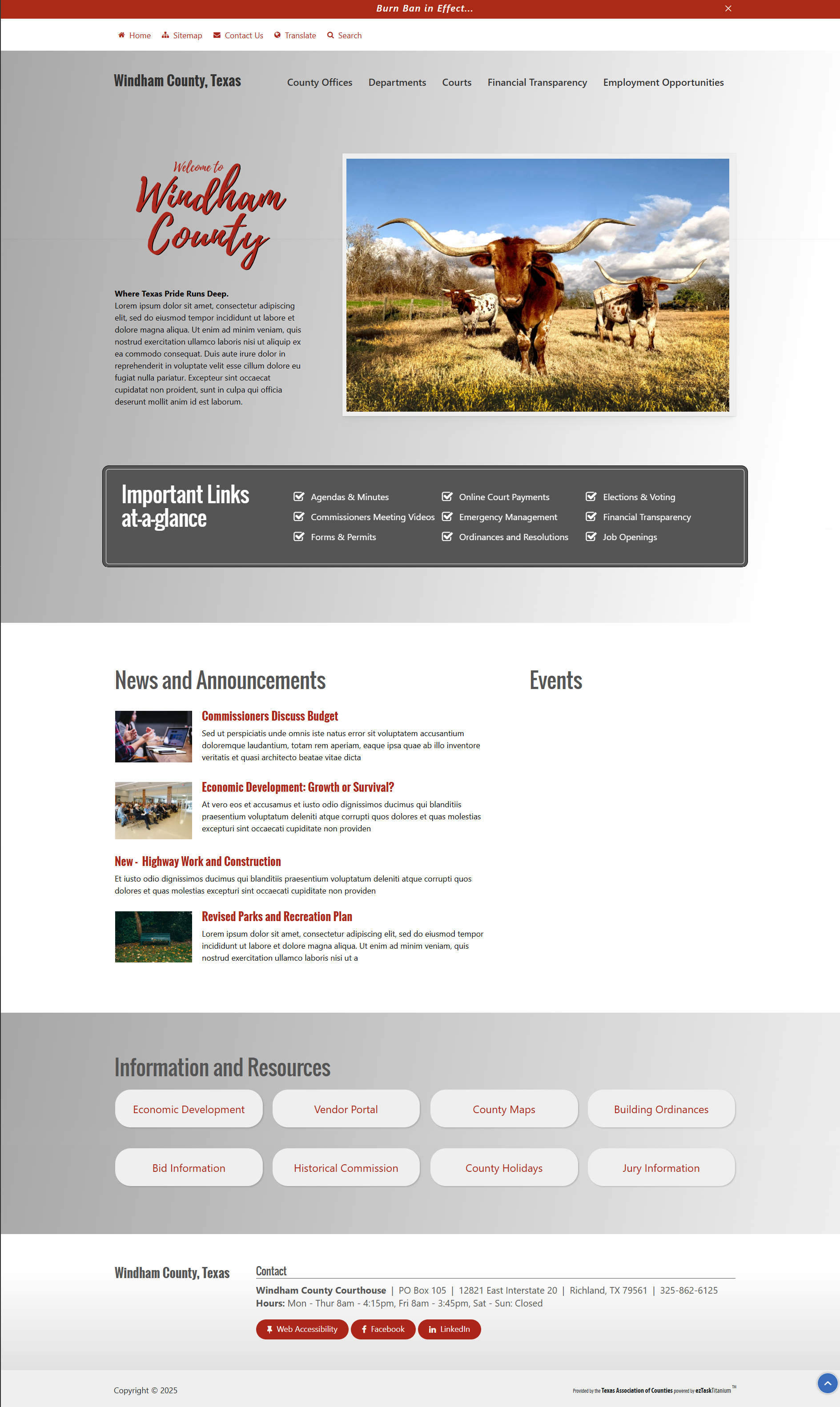 Image of a webpage mockup named Lone Star.