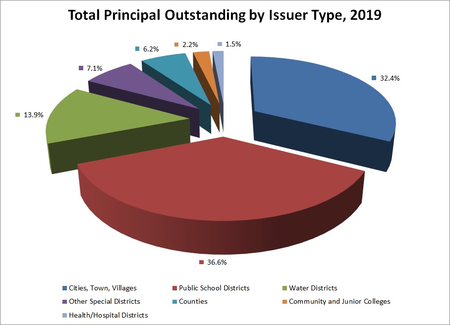 Pie chart for Total Principal Outstanding by Issuer Type, 2019