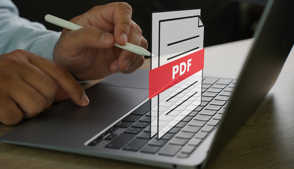 Image of a Person on a Laptop with a PDF Logo