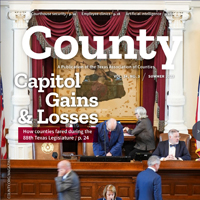 Image of a cover with the title: "Capitol Gains & Losses"