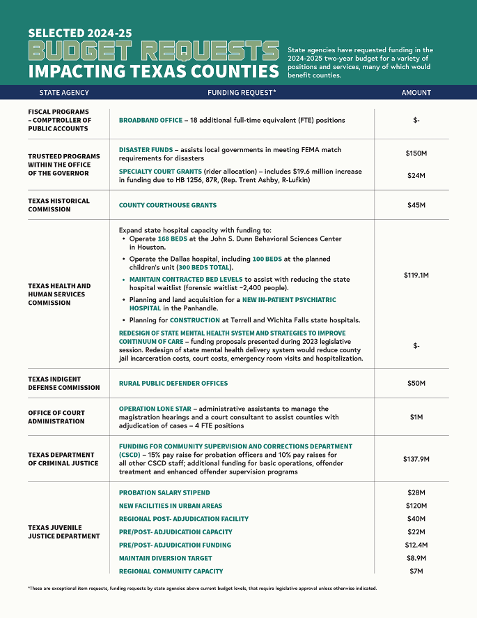 Budget Requests infographic