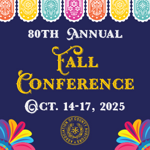 Texas Association of County Auditors logo