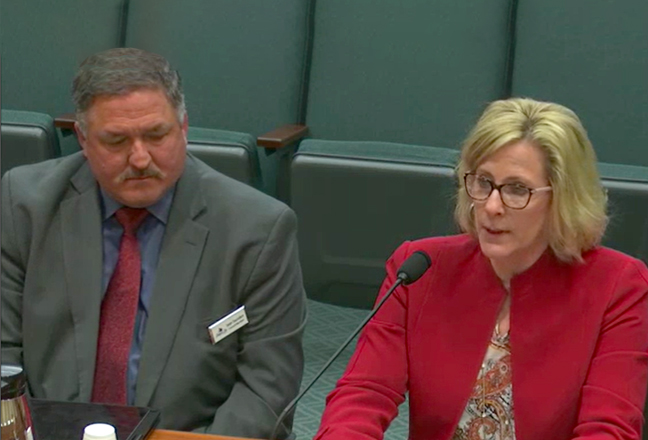 Gayla Hawkins, Grayson County Treasurer and the president of the County Treasurers' Association of Texas testifying in court